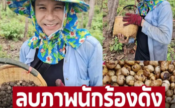 ลบภาพนักร้องเก็บเห็ดเผาะ ‘ไผ่ พงศธร’ ไม่ถือตัวเก็บเห็ดขาวทุกเม็ด