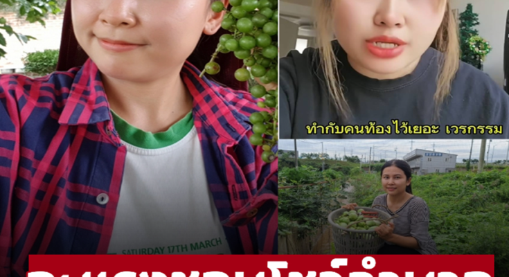 ดราม่าสะใภ้เกาหลีช่องดัง ‘แพน’ ฉะแรง ‘สะใภ้ซอ’ ชอบโชว์ลำบาก ลั่น สะใจตอนท้องนั่งร้องไห้