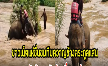 เปิดคลิปวินาที ทีมควาญช้างตระกูลแสน ลุยน้ำป่าช่วยเหลือนักท่องเที่ยว หลังแพล่มกลับเข้าฝั่ง