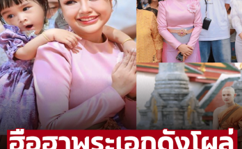 ไม่นึกจะมาด้วย! ฮือฮา พระเอกดังคนนี้โผล่ร่วมงานบวช ‘พระยิว ฉัตรมงคล’ มิตรภาพงดงามมาก – ภาพ