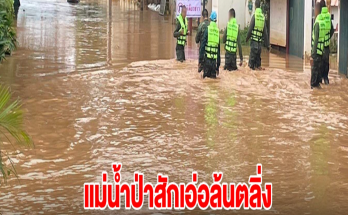 เพชรบูรณ์อ่วม! แม่น้ำป่าสักเอ่อล้นตลิ่ง บ้านเรือนได้รับผลกระทบกว่า 600 หลัง