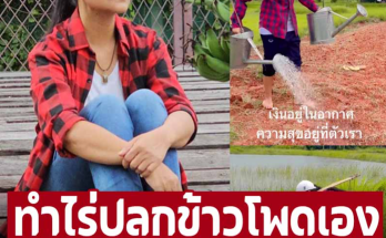 ทำไร่ปลูกข้าวโพดเอง เปิดภาพ ‘สุนารี ราชสีมา’ ชีวิตเรียบง่ายที่บ้านเกิด