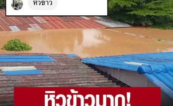 แพร่ ร้องขอความช่วยเหลือ 3 หมู่บ้าน หมู่ 5 หมู่ 15 หมู่ 9 ต.ป่าเเมต อ.เมือง ข้าวยังไม่ตกถึงท้องสักเม็ด บางบ้านไม่ได้กินข้าวตั้งแต่เมื่อวาน